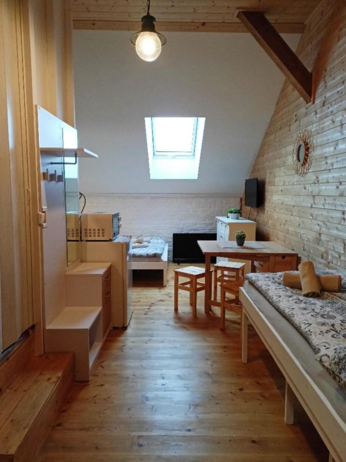 Apartment Pod Volarskym Rondelem Volary